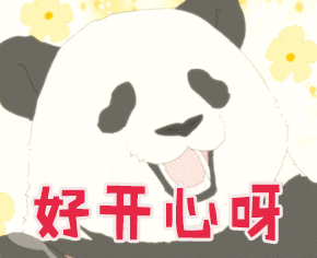 矽膠