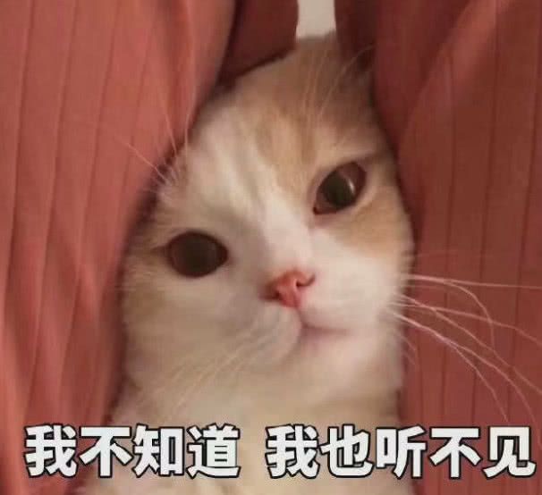 矽膠粘鋅合金熱硫化膠水.jpg